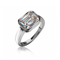 THE SECURED CROWN RING